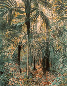 pina-palm