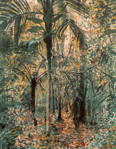 pina-palm