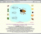 bijenflash screenshot