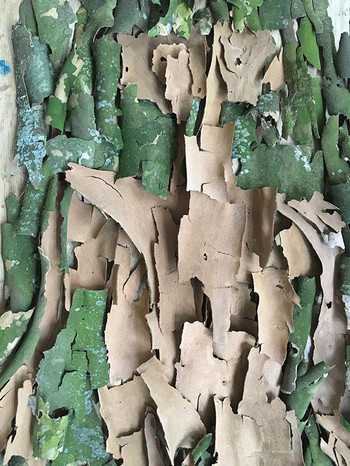 Self-portrait mid-section assembled from moss and plane tree bark