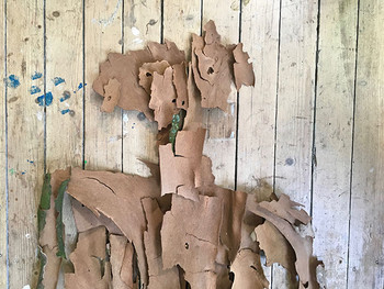 Self-portrait detail assembled from moss and plane tree bark